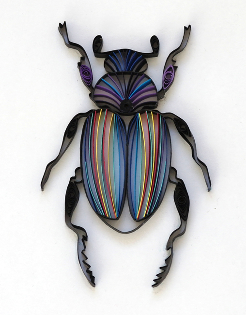 molotkova_beetle